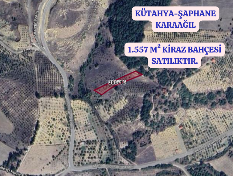 KÜTAHYA ŞAPHANE KARAAĞIL  KÖYÜNDE 1.557 M² KİRAZ BAHÇESİ  SATILIKTIR - KÜTAHYA ŞAPHANE fotoğraf 2
