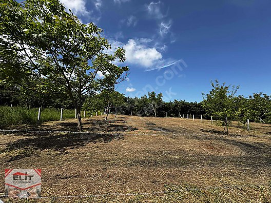 KARASU KUYUMCULUDA SATILIK 463 M2 FIRSAT ARSA - SAKARYA KARASU fotoğraf 24