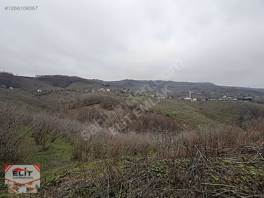 DÜZCE AKÇAKOCA DA EV YAPIMINA UYGUN SATILIK 7.768 M2 FINDIKLIK - DÜZCE AKÇAKOCA fotoğraf 30