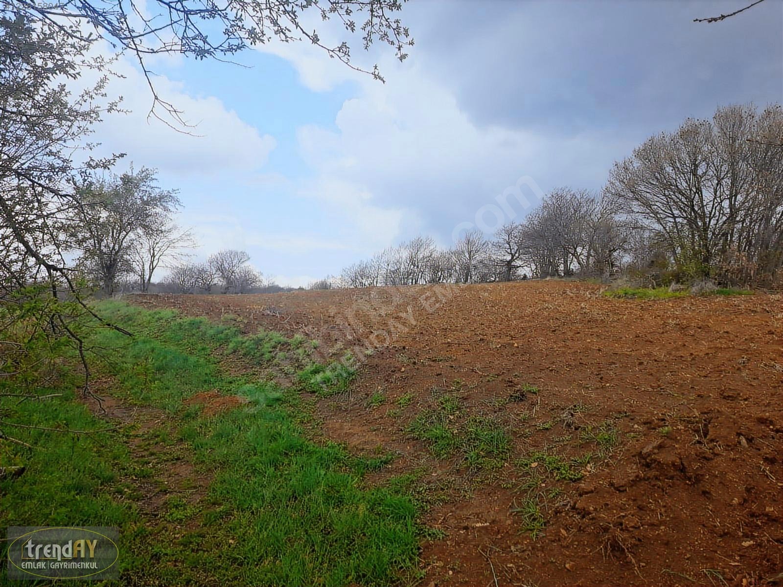 Dübekli Köyü'nde 10.570 m² Kadastral Yola Cepheli Tarlalar - BİLECİK BOZÜYÜK fotoğraf 24