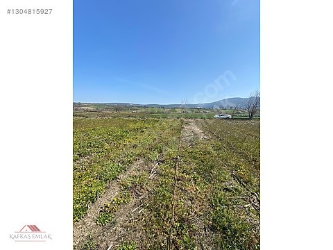 KAFKAS EMLAKTAN DEMİRELİ DE 5.600 M2 TARLA - BURSA MUSTAFAKEMALPAŞA fotoğraf 2