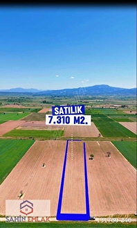 ŞAHİN BÜKE EMLAKTAN DENİZLİ ACIPAYAM YUMRUTAŞ MAH. 7.310 M2  TARLA - DENİZLİ ACIPAYAM fotoğraf 3