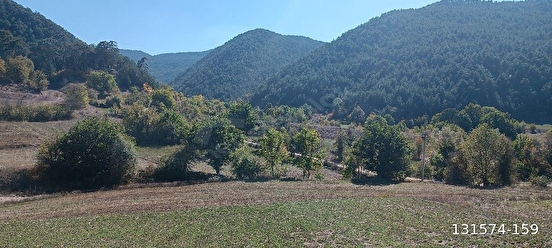 KASTAMONU ARAC DERECATI KÖYÜNDE SATILIK ARAZİ - KASTAMONU ARAÇ fotoğraf 4
