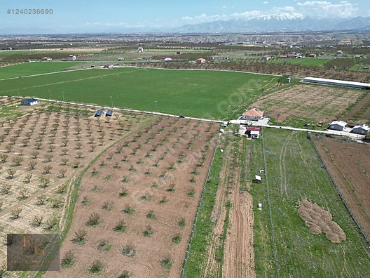 EMTİA'DAN BAHRİ DE 10 DÖNÜM TEK TAPU (4 YAŞINDA) KAYISI BAHÇESİ - MALATYA AKÇADAĞ fotoğraf 2