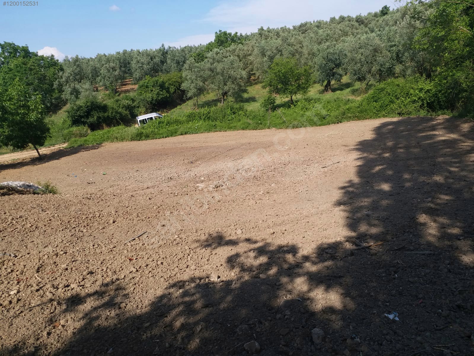 BURSA İZNİK MÜŞKÜLE  KÖYÜNDE 1.209 M² ZEYTİNLİK SATILIKTIR - BURSA İZNİK fotoğraf 11