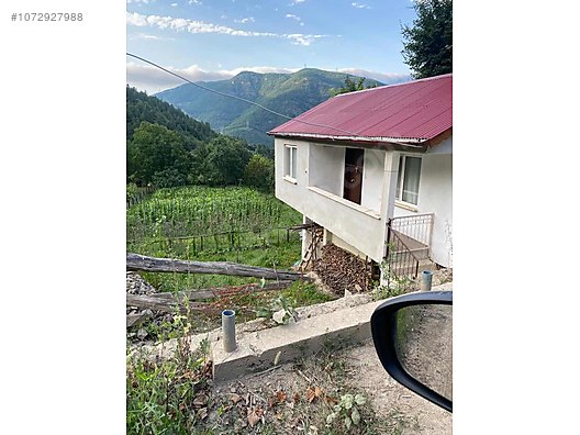 1500 m2 arsalı müstakil ev + 3200 m2 fındık bahçesi - ARTVİN BORÇKA fotoğraf 5