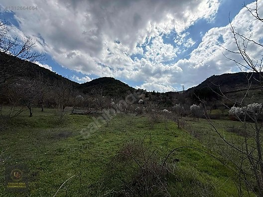 SAKARYA TARAKLI HACIALİLER'DE 442 M2 KONUT İMARLI ARSA - SAKARYA TARAKLI fotoğraf 12