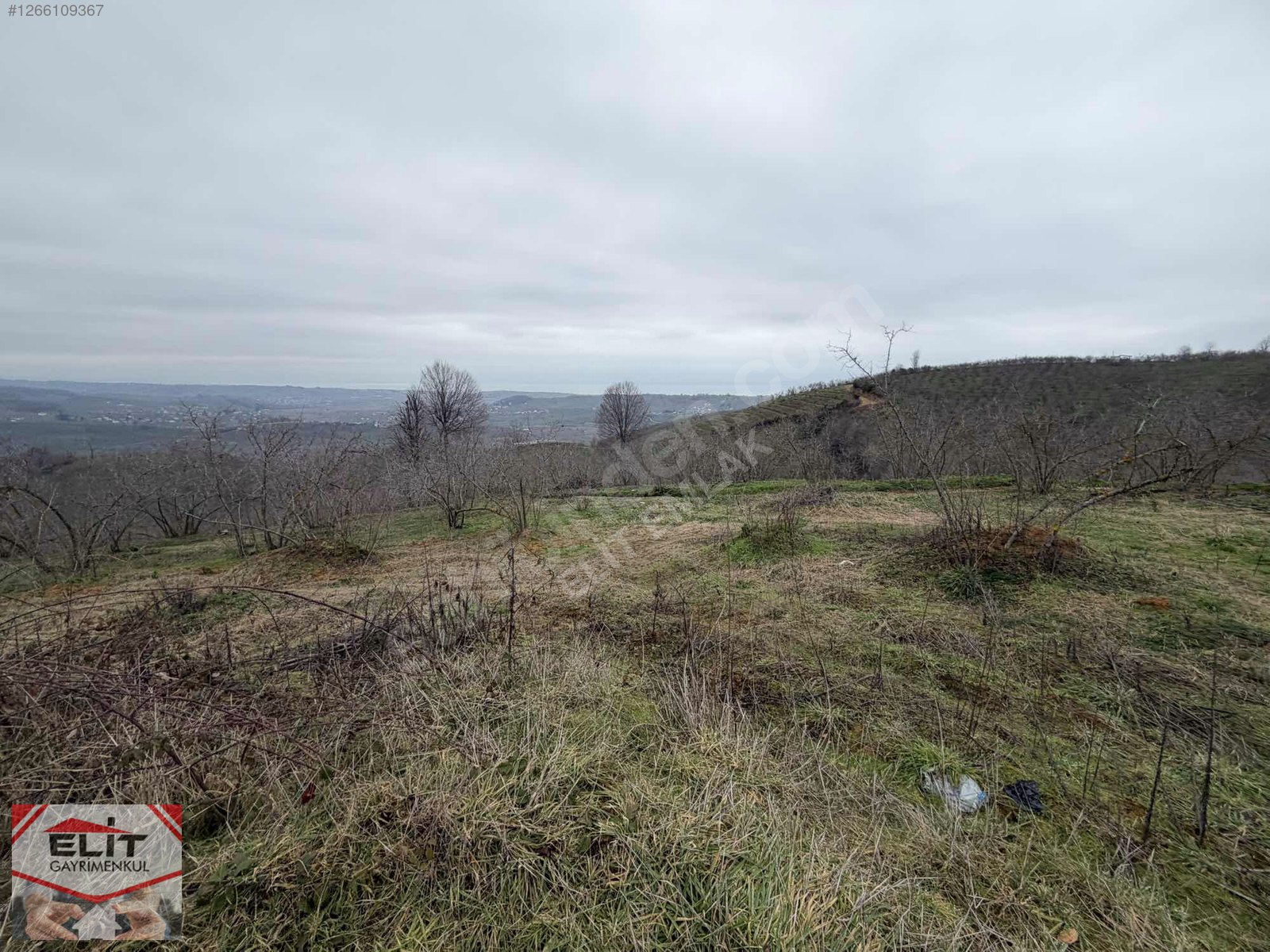 DÜZCE AKÇAKOCA DA EV YAPIMINA UYGUN SATILIK 7.768 M2 FINDIKLIK - DÜZCE AKÇAKOCA fotoğraf 50