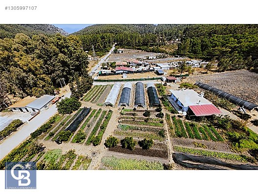Marmaris Karaca Ovacıkta Köy Yoluna Cephe 1932 m2 Muhteşem Arazi - MUĞLA MARMARİS fotoğraf 32
