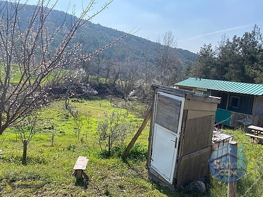 YENİ ŞEHİR OTOBANA 400 METRE HOBİ BAHÇESİ 1000M2 - BURSA YENİŞEHİR fotoğraf 5