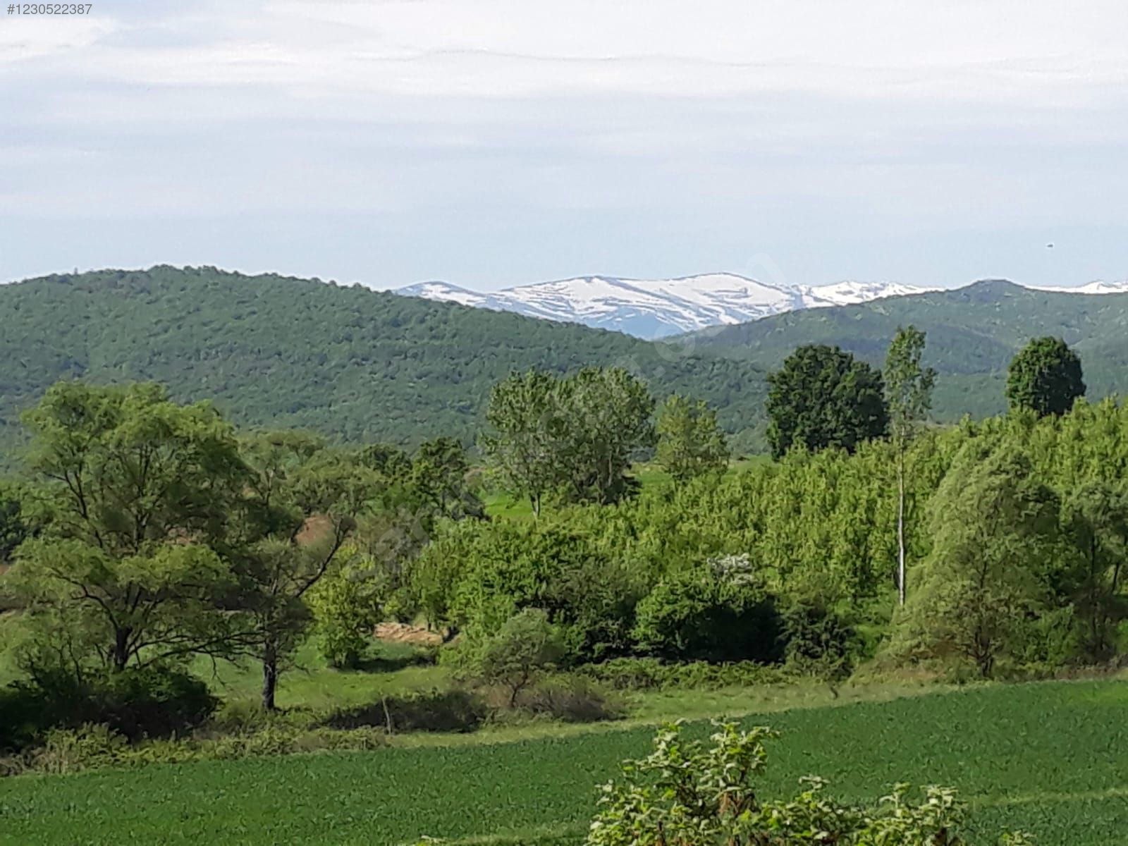 Yenişehir Fethiye de kurulu ceviz ve hobi bahcesi - BURSA YENİŞEHİR fotoğraf 16