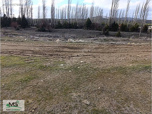 KÜTAHYA ALTINTAŞ PINARCIK KELEPİR ARSA - KÜTAHYA ALTINTAŞ fotoğraf 11