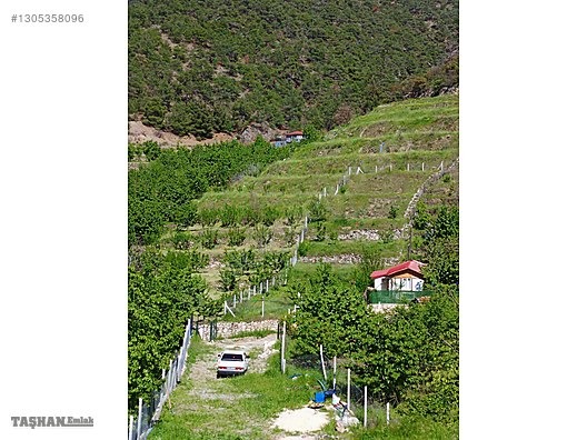 TAŞHAN EMLAKDAN YENİCE DE SATILIK TEK TAPU HOBİ BAHÇE - AMASYA MERKEZ fotoğraf 3
