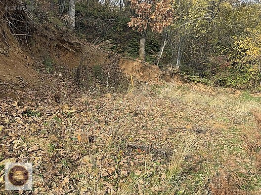 KESTEL LÜTFIYE MH SATILIK 1806M2 TARLA ASVALT YOLA CEPHE - BURSA KESTEL fotoğraf 16