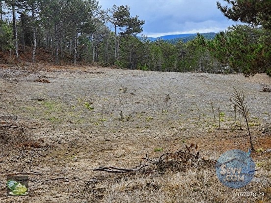 🚨 KÜTAHYA / ALTINTAŞ'TA DOĞANIN İÇİNDE 4800 M2 ARAZİ 🚨 - KÜTAHYA ALTINTAŞ fotoğraf 10