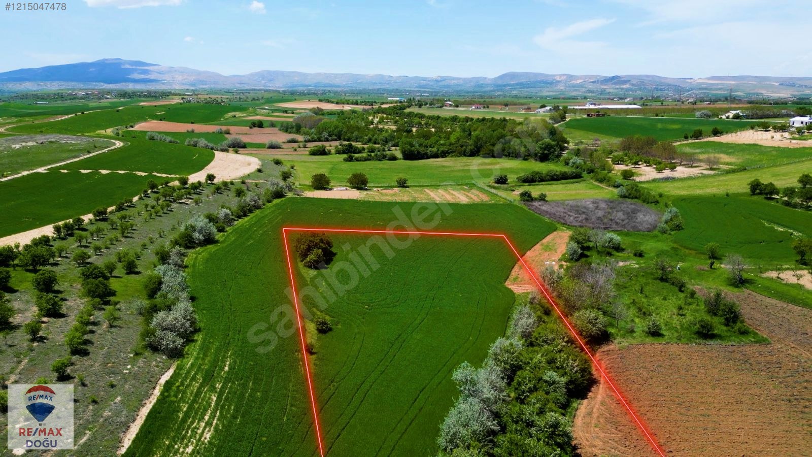 REMAX DOĞU'DAN BEŞİK KÖYÜNDE SATILIK 2182 M² FIRSAT SULU TARLA - ELAZIĞ MERKEZ fotoğraf 14