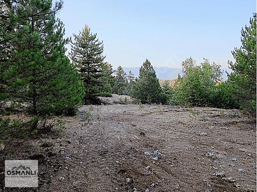 ARAÇ TAKASLI 3.150 M2, İLÇEYE 5 DK MESAFEDE YATIRIM FIRSATI - BİLECİK SÖĞÜT fotoğraf 20