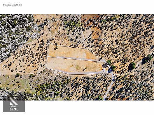 Kemalpaşa Ansızca Satılık 1406 m2 Bahçe - İZMİR KEMALPAŞA fotoğraf 33