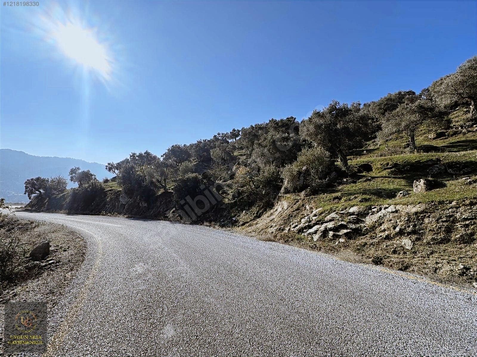 AYDIN KARPUZLU MERKEZ'DE 21.050 M2 ANA YOLA CEPHE ZEYTİNLİK - AYDIN KARPUZLU fotoğraf 24