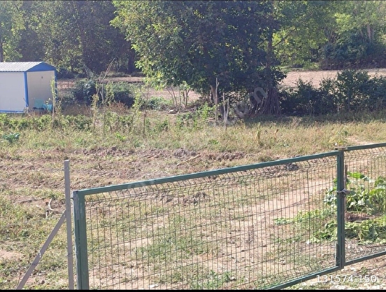 MUDURNU CAVUŞDERE KÖYÜNDE SATILIK BAHÇE İÇİNDE KONTEYNIR. - BOLU MUDURNU fotoğraf 2