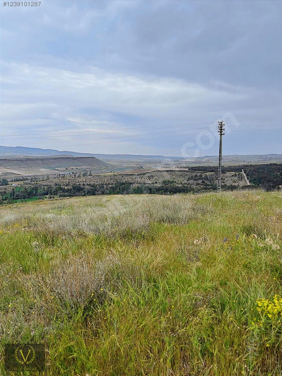 1 HAFTALIĞINA GEÇERLİ FİYAT - KAYSERİ MELİKGAZİ fotoğraf 2