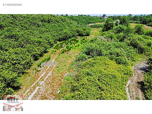 SAKARYA KARASU'DA SATILIK FRSAT KÖY İÇİNDE 635 metre² KUPON ARSA - SAKARYA KARASU fotoğraf 12