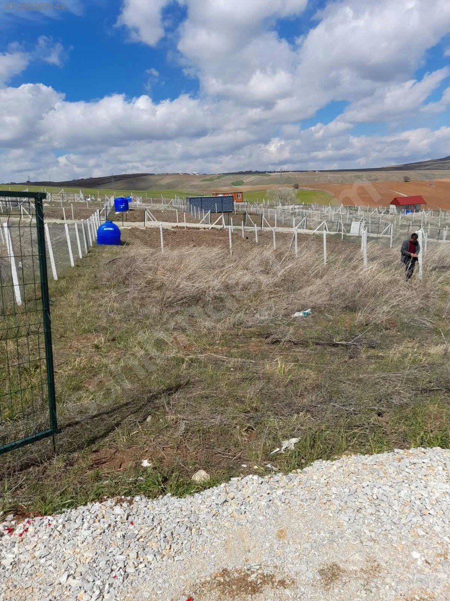 SATILIK 250 METRE HOBİ BAHÇESİ - ANKARA ELMADAĞ fotoğraf 7
