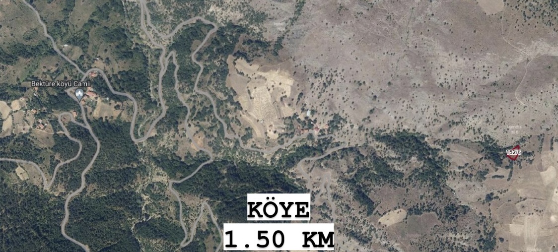 KASTAMONU ARAÇ BEKTÜRE KÖYÜNDE 1.135 M² TARLAMIZ SATILIKTIR. - KASTAMONU ARAÇ fotoğraf 2