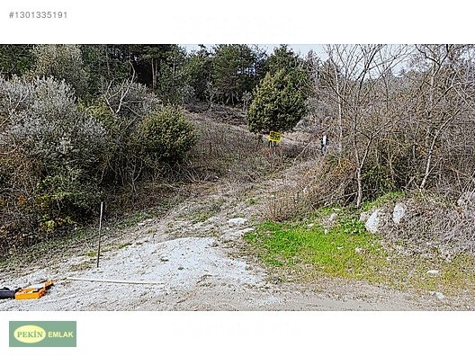 PEKİN EMLAK'tan PAMUKOVA Çileklide satılık - SAKARYA PAMUKOVA fotoğraf 6