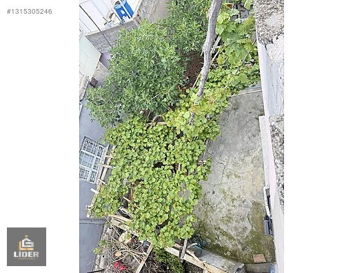 KARŞIYAKA MAHALLESİNDE KİRALIK MÜSTAKİL DAİRE - BATMAN MERKEZ fotoğraf 10