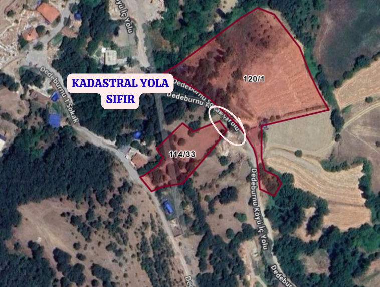BALIKESİR ALTIEYLÜL DEDEBURNU   KÖYÜNDE 1.969  M²  TARLA  SATILIKTIR - BALIKESİR ALTIEYLÜL fotoğraf 4