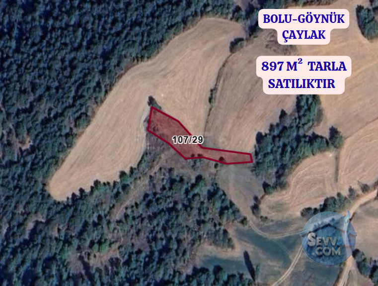 BOLU GÖYNÜK ÇAYLAK  KÖYÜNDE 897 M²  TARLA  SATILIKTIR - BOLU GÖYNÜK fotoğraf 2