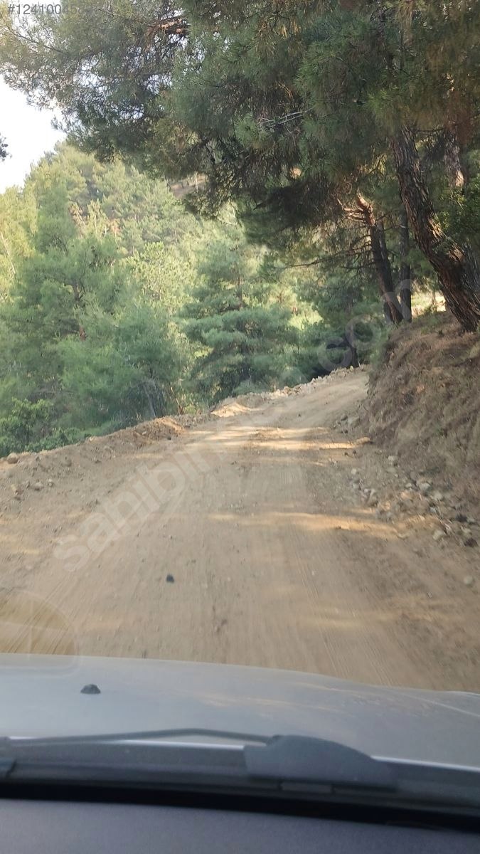 DENİZLİ BABADAĞ KELLECİ KÖYÜNDE  1.586 M²  BAĞ SATILIKTIR - DENİZLİ BABADAĞ fotoğraf 22