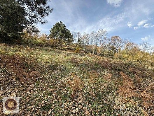 KESTEL LÜTFIYE MH SATILIK 1806M2 TARLA ASVALT YOLA CEPHE - BURSA KESTEL fotoğraf 22