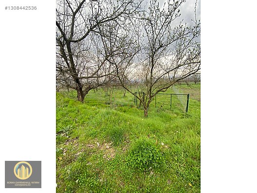 KUCUK YENICEDE RESMI YOLA CEPHE HOBI BAHCESI - BURSA İNEGÖL fotoğraf 22