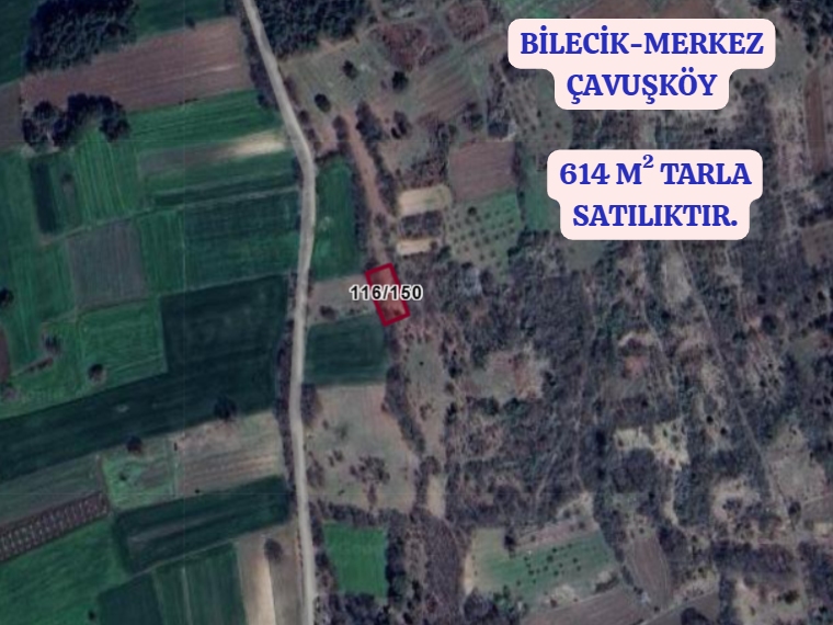 BİLECİK MERKEZ ÇAVUŞKÖY  KÖYÜNDE 614 M² TARLA  SATILIKTIR - BİLECİK MERKEZ fotoğraf 2