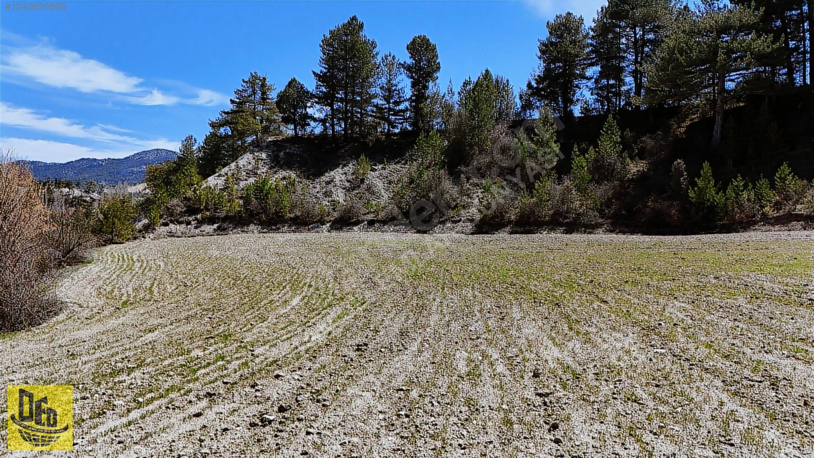 ÇAMELİ KOCAOVA SATILIK YOLU OLAN 6.176m2 FIRSAT TARLA - DENİZLİ ÇAMELİ fotoğraf 2