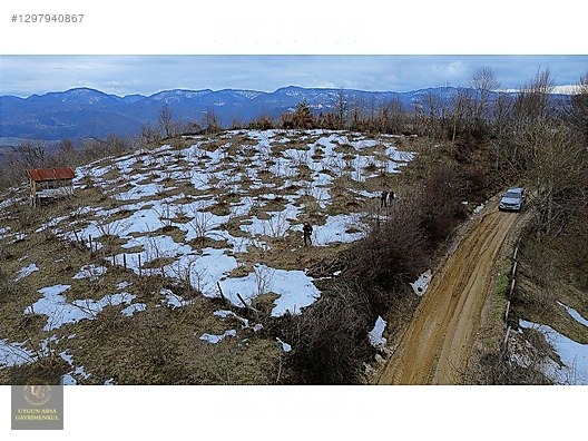 DÜZCE YIĞILCA HACILAR 'DA 2.744 M2 BAĞ EVİ OLAN FINDIK BAHÇESİ - DÜZCE YIĞILCA fotoğraf 14