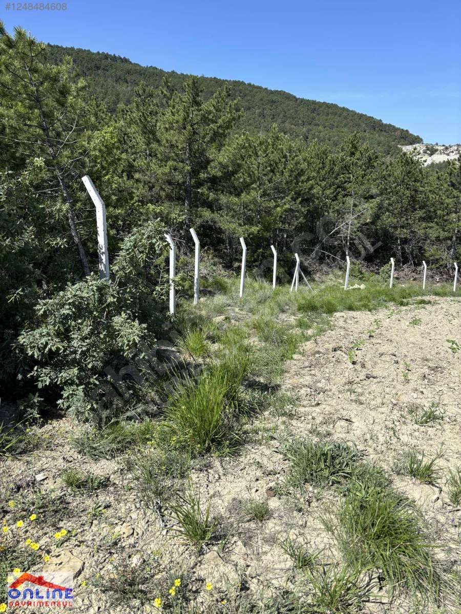 RESMİ YOLLU ARAZİ - BİLECİK YENİPAZAR fotoğraf 24