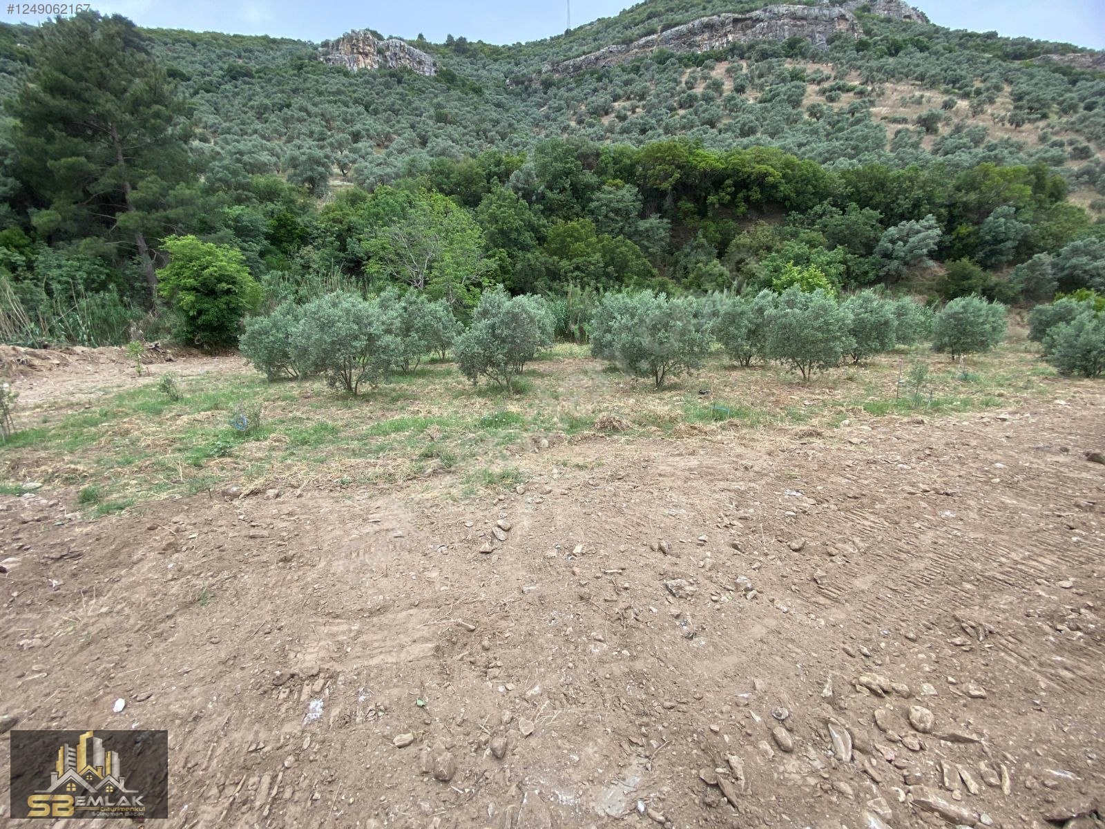 SB EMLAK OFİSİNDEN AKYURT MAHALLESİ SATILIK TARLA(HOBİ BAHÇESİ) - İZMİR TİRE fotoğraf 3