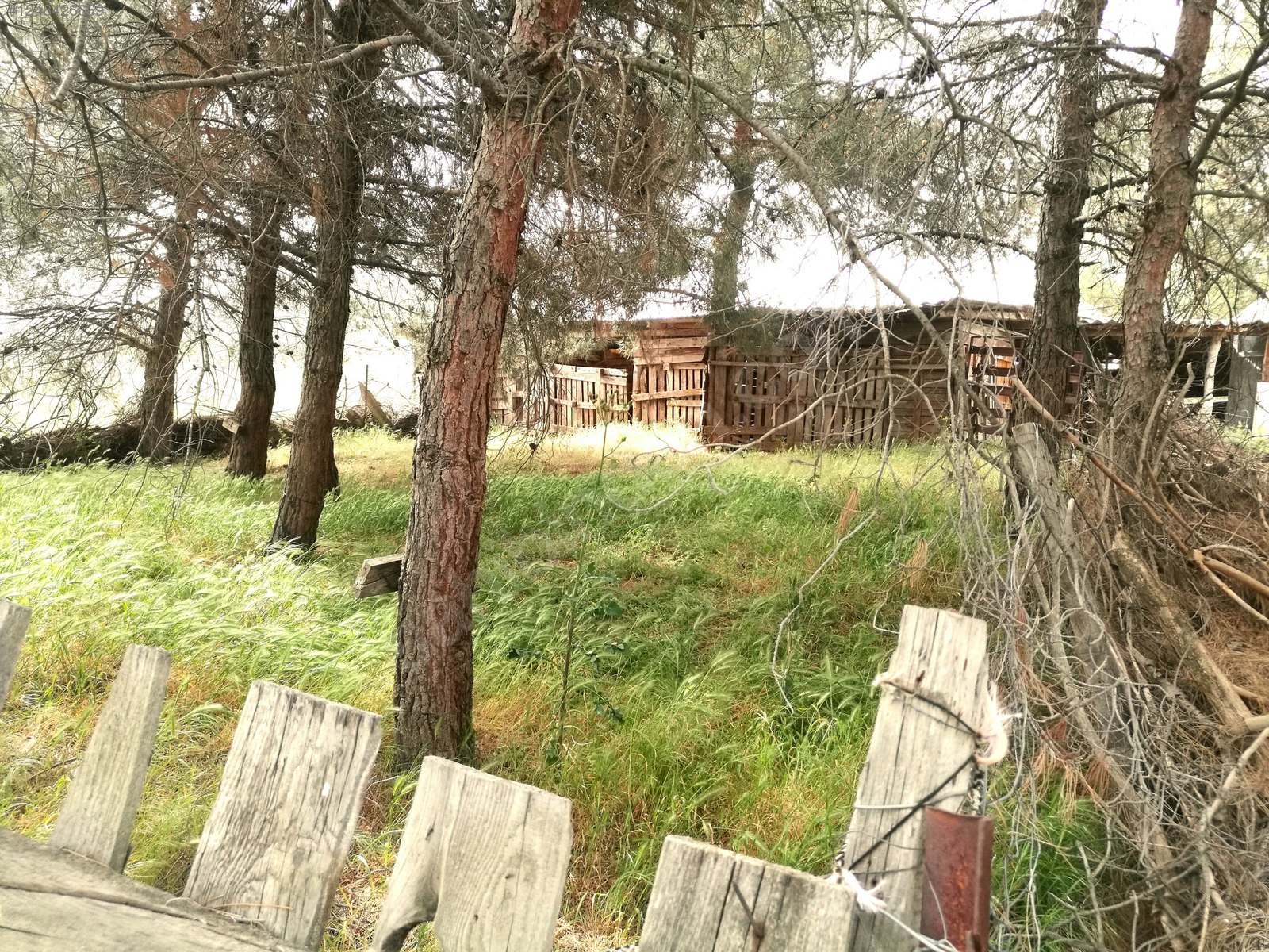 İMARLI,YOL ÜZERİ,HİBE VE TEŞVİKE UYGUN FIRSAT ARAZİ 19.615 metrekare - BİLECİK MERKEZ fotoğraf 10