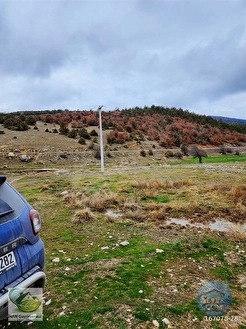 🚨 KÜTAHYA / ALTINTAŞ'TA DOĞANIN İÇİNDE 4800 M2 ARAZİ 🚨 - KÜTAHYA ALTINTAŞ fotoğraf 13