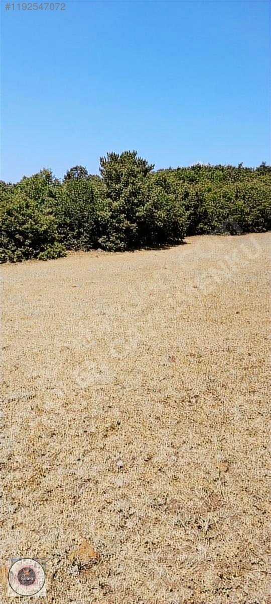 Kütahya merkez kozluca köyü nde satılık tarla - KÜTAHYA MERKEZ fotoğraf 21