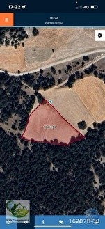 🚨 KÜTAHYA / AKÇAMESCİT'TE KÖYÜN ÜSTÜNDE 4.548 M² HARİKA ARAZİ 🚨 - KÜTAHYA MERKEZ fotoğraf 10