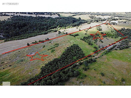 ÇANAKKALE BAYRAMİÇ MURATLAR KÖYÜ 45.000 m2 TARLA - ÇANAKKALE BAYRAMİÇ fotoğraf 28