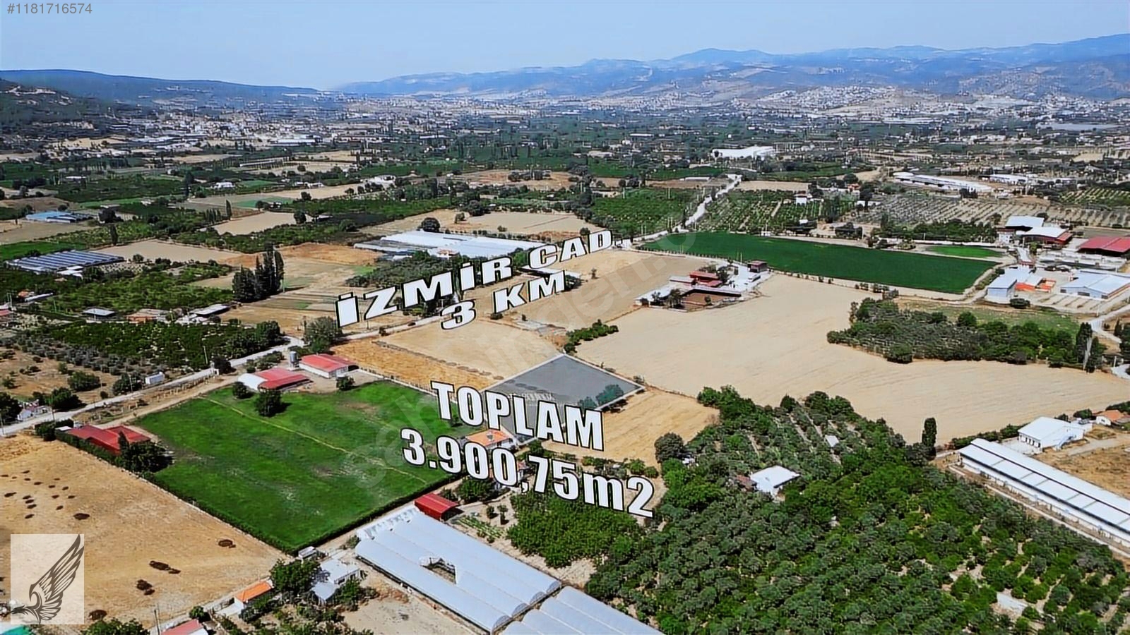 Seferihisar Düzce Ovada 3900 M² Emsalsiz Tarla - İZMİR SEFERİHİSAR fotoğraf 6