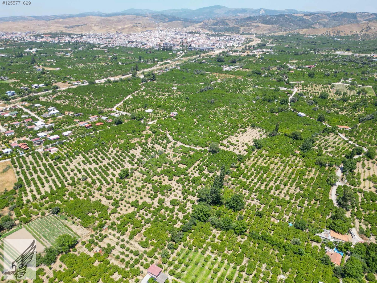 Seferihisar Hıdırlık Mahallesi 5.700M2 Satılık Mandalina Bahçesi - İZMİR SEFERİHİSAR fotoğraf 5