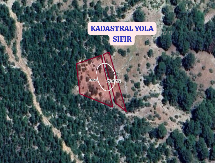 ANTALYA KUMLUCA KARACAÖREN  KÖYÜNDE 843  M²   TARLA  SATILIKTIR - ANTALYA KUMLUCA fotoğraf 3