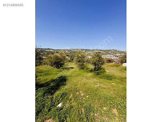 PANORAMİK MANZARALI YATIRIMLIK ZEYTİNLİK - HATAY YAYLADAĞI fotoğraf 24