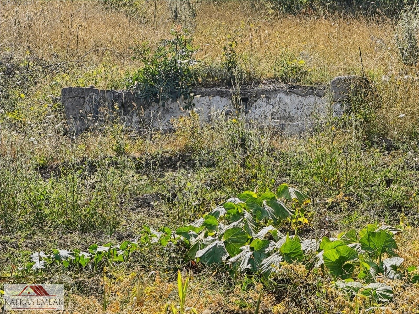 ALPAĞUT MAHALLESİ 5.125 M² KÖY ASFALTINA CEPHE SATILIK TARLA - BURSA MUSTAFAKEMALPAŞA fotoğraf 6